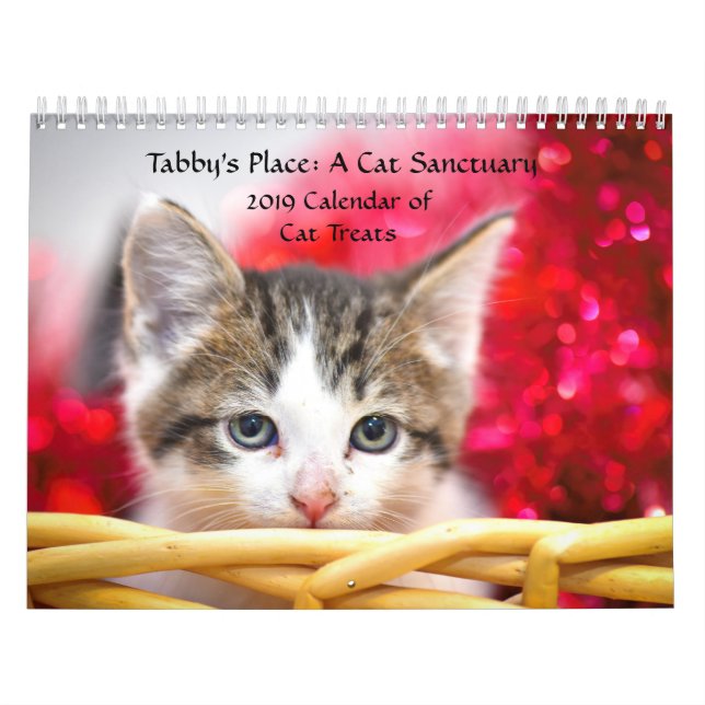 Tabby's Place Calendar (Cover)
