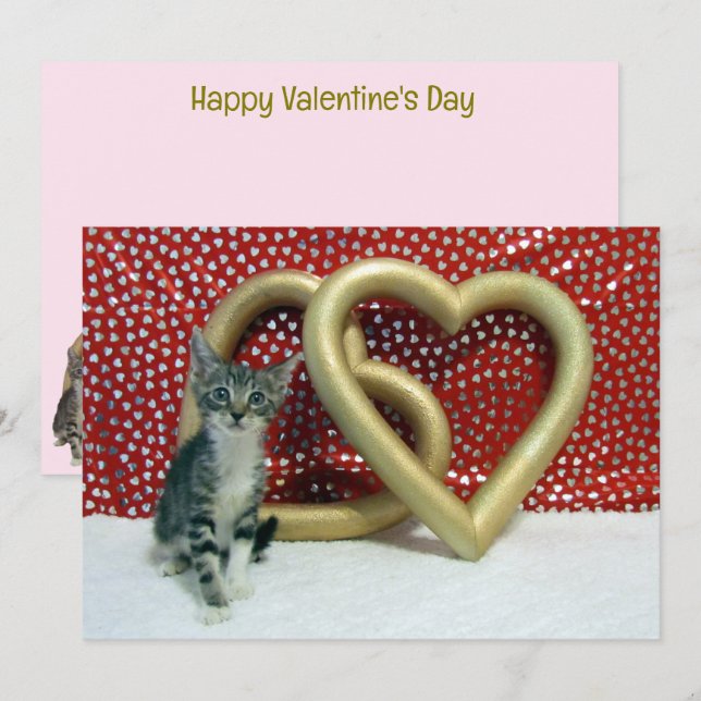 Tabitha's Valentine's - Cat / Kitten Valentine's  (Front/Back)