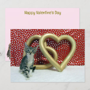 Tabitha's Valentine's - Cat / Kitten Valentine's 