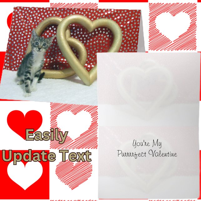 Tabitha's Valentine's - Cat / Kitten Valentine's  Holiday Card (Creator Uploaded)