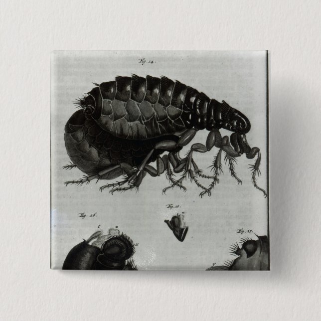 Table IV of Flies and Fleas 15 Cm Square Badge (Front)