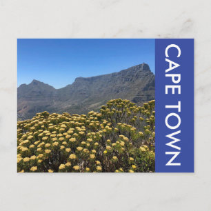 table mountain flowers postcard