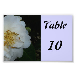 Table Number Flower Photo Print