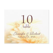 Table Number Postcard