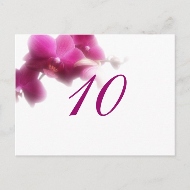 Table Number Postcard (Front)