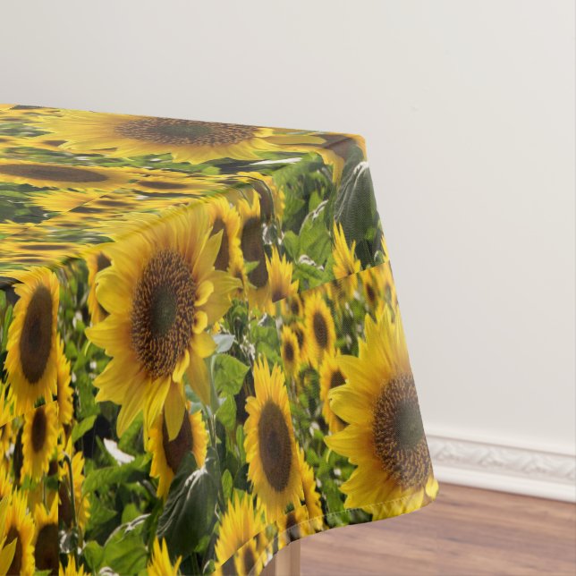 Tablecloth Sunflowers (In Situ)