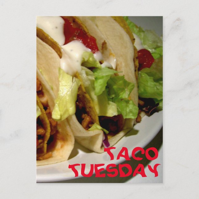 Taco Tuesday tacos photo Postcard (Front)