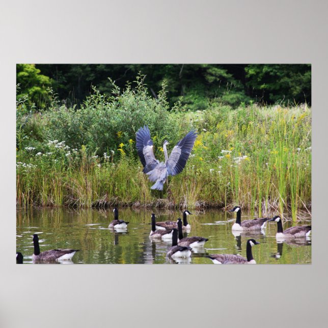 TADA! POSTER (Front)