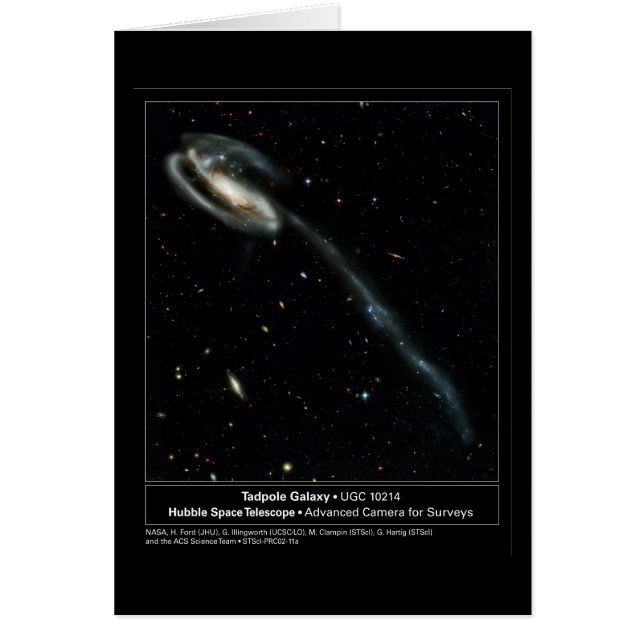 Tadpole Galaxy Hubble Telescope Photo (Front)