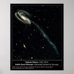 Tadpole Galaxy Hubble Telescope Photo Poster