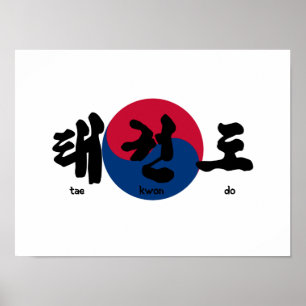 Tae Kwon Do with Flag Poster