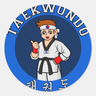 taekwondo guy badge classic round sticker