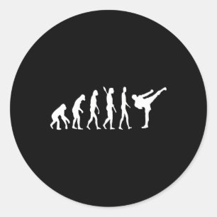 Taekwondo Mma Evolution Judo Kung Fu Tkw Kickboxin Classic Round Sticker