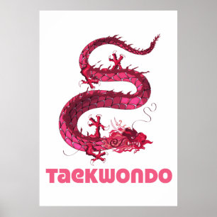 Taekwondo Poster