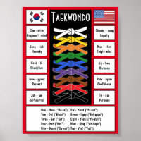 Taekwondo Poster