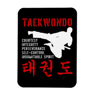 Taekwondo Tenets Martial Arts Magnet