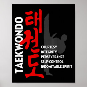 Taekwondo Tenets Poster