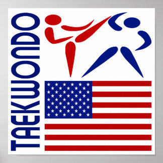 Taekwondo United States Poster