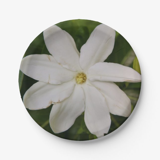 Tahitian Gardena Paper Plates (Front)