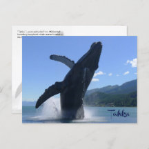 “Tahku”— breaching humpback whale statue -