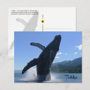 “Tahku”— breaching humpback whale statue - Postcard
