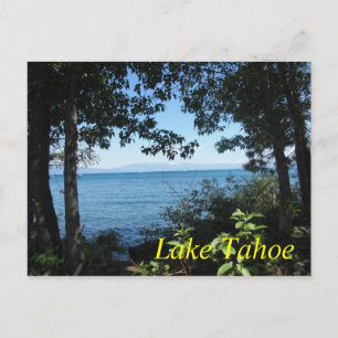Tahoe Blue Postcard