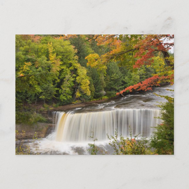 Tahquamenon Falls in Fall Postcard (Front)