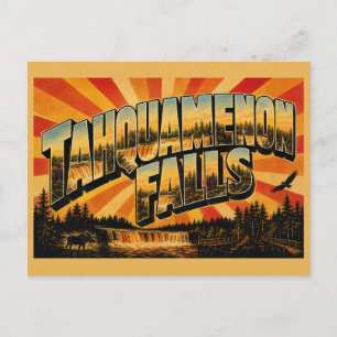 Tahquamenon Falls Michigan Waterfall Old Growth  Postcard