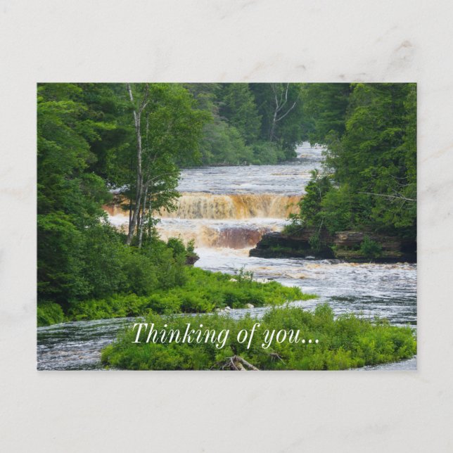 Tahquamenon The Lower Falls Postcard (Front)
