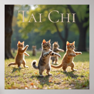 Tai Chi Cats Poster