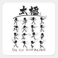 Tai Chi kung fu(功夫)