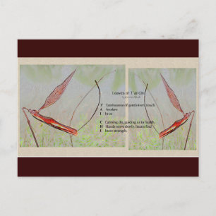 Tai Chi Poem Postcard