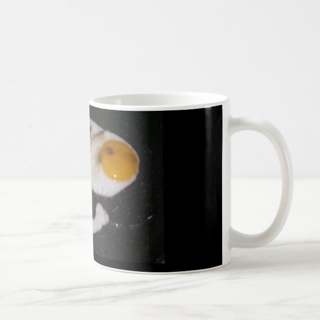 Tai Chi Yin Yang Tasse Coffee Mug (Right)