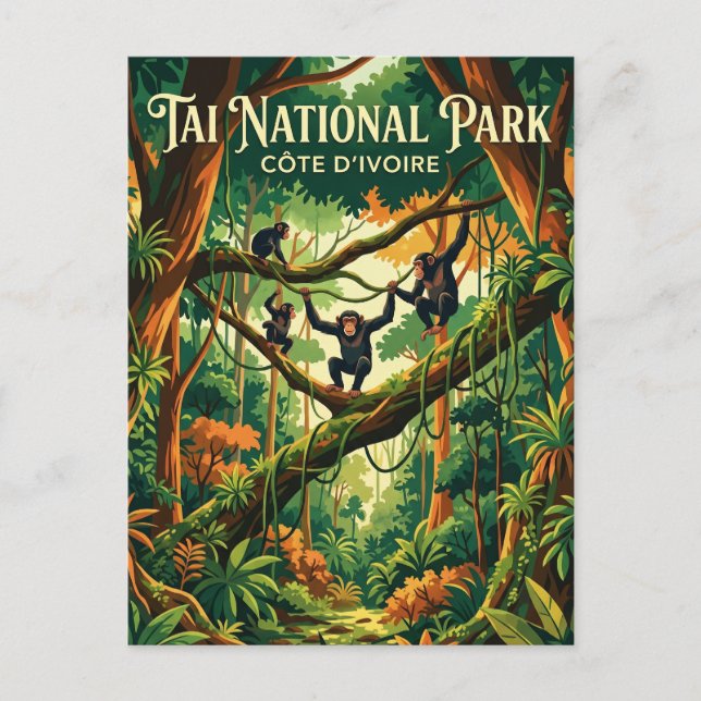 Tai National Park Côte d'Ivoire Postcard (Front)