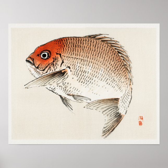 Tai (Red Seabream) fish by Kōno Bairei (1844-1895) Poster (Front)