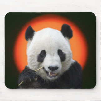 TAI SHAN MOUSE PAD