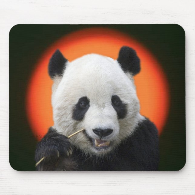 TAI SHAN MOUSE PAD (Front)