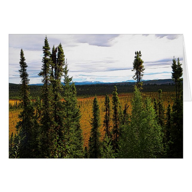 Taiga Summer (Front Horizontal)