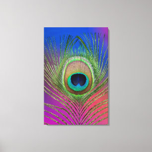 Tail feather of a peacock canvas print