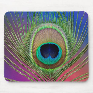 Tail feather of a peacock mouse pad
