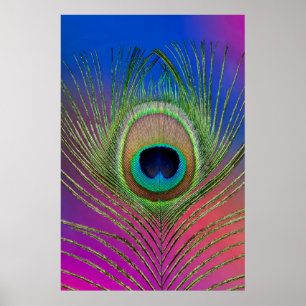 Tail feather of a peacock poster