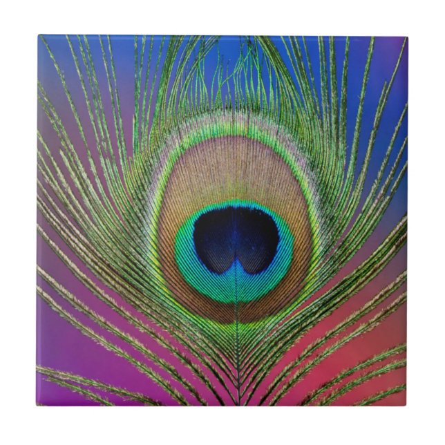 Tail feather of a peacock tile (Front)