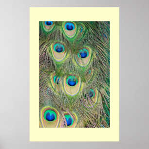 Tail Feathers Poster
