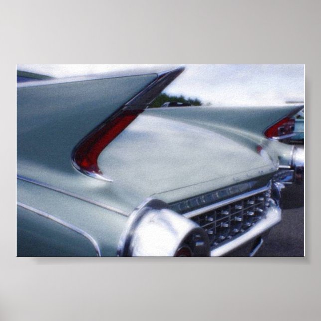 Tail Fins Poster (Front)