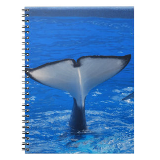Tail of a Whale Notebook