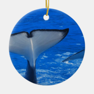 Tail of a Whale Ornament