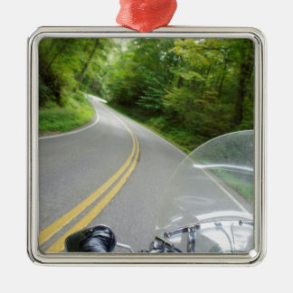 Tail of the Dragon Metal Tree Decoration