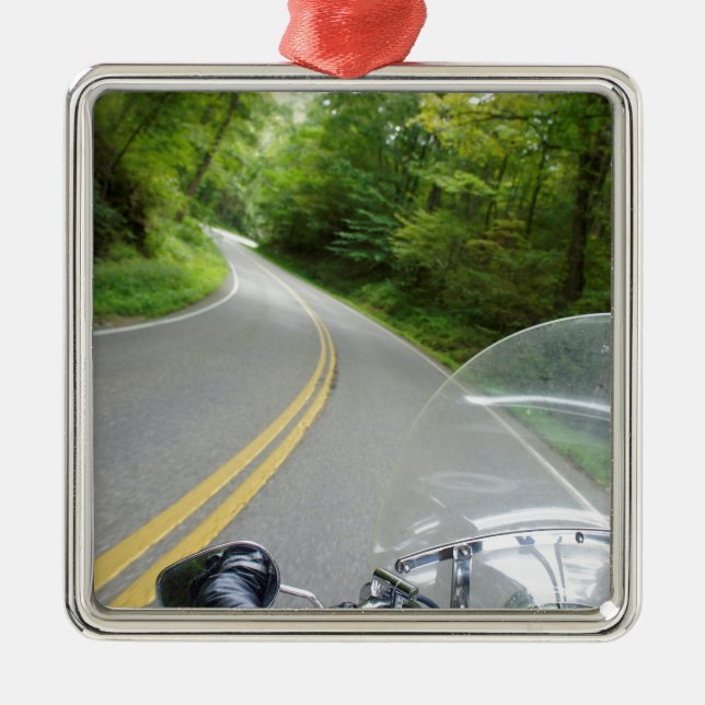 Tail of the Dragon Metal Tree Decoration (Front)