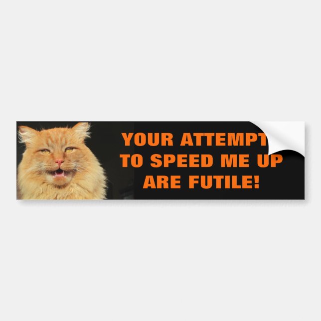 Tailgaters Attempts are Futile Cat Meme Bumper Sticker (Front)