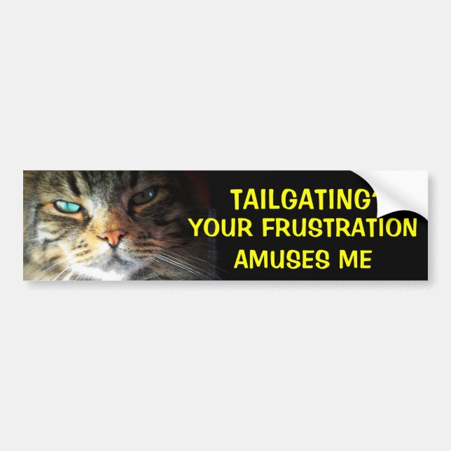 Tailgating? Your Frustration Amuses Bumper Cat Sticker (Front)